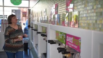 frozen yogurt franchise for sale