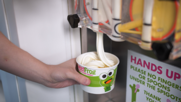 frozen yogurt franchise cost