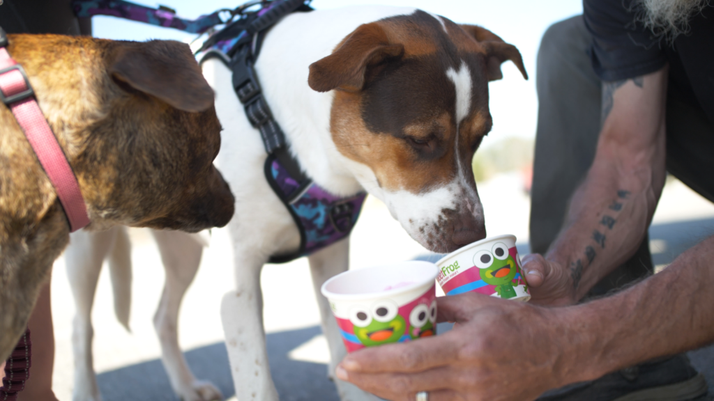 Dog enjoys a sweetFrog treat franchise